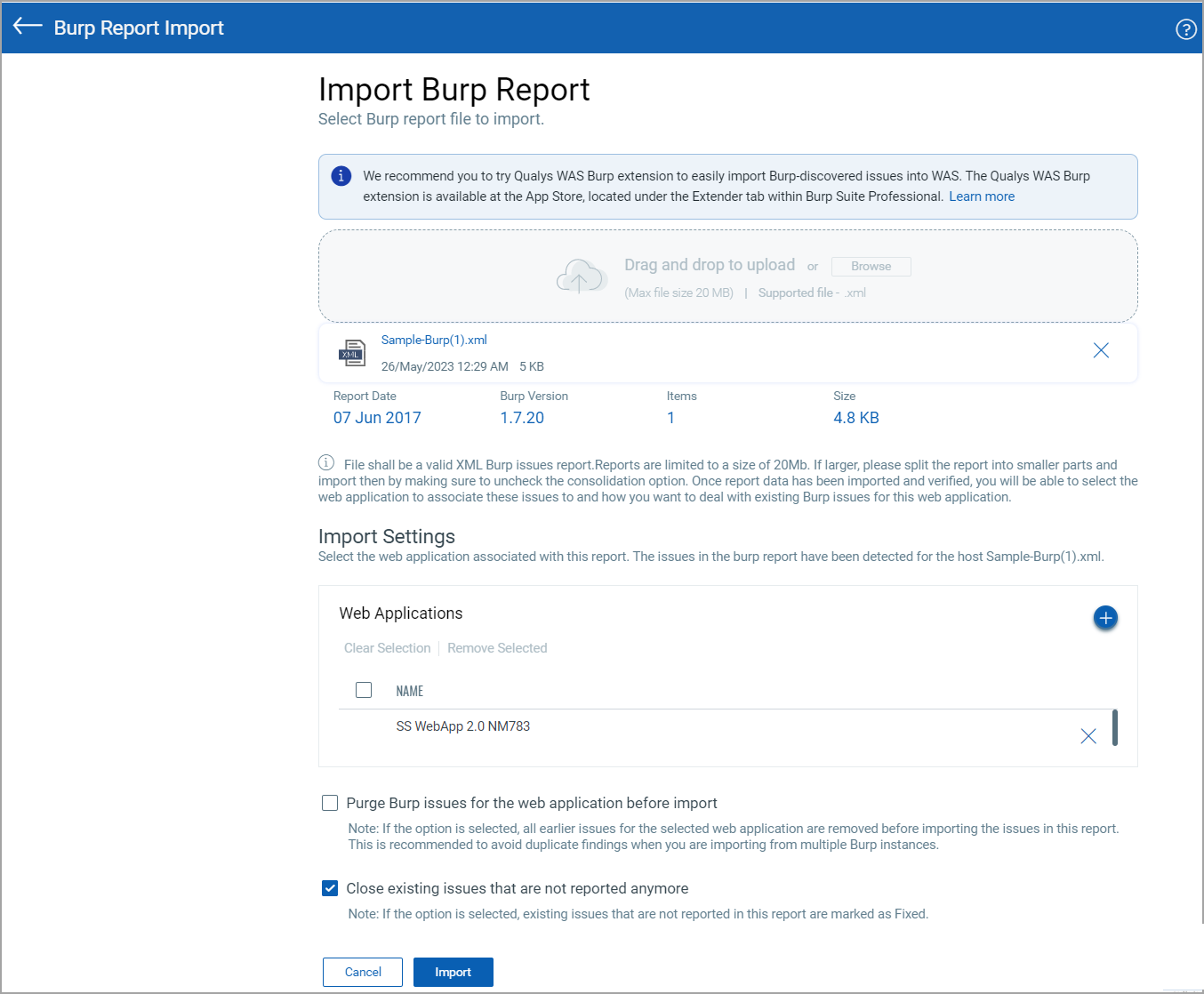 import burp report with import settings.